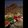 img 012.JPG